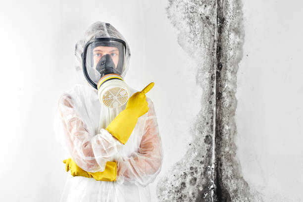 Best Mold Remediation for Healthcare Facilities  in USA